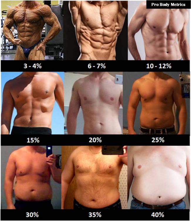 Men+Fat.jpg